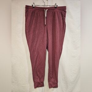 The North Face Women's Burgundy Jogger Pants
